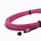 Telekom İçin Çok Modlu 12F MPO MTP Patch Cord 50/125μm Om4 Fiber Optik Kablolar
